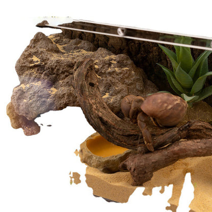 Resin Reptile Hideout 