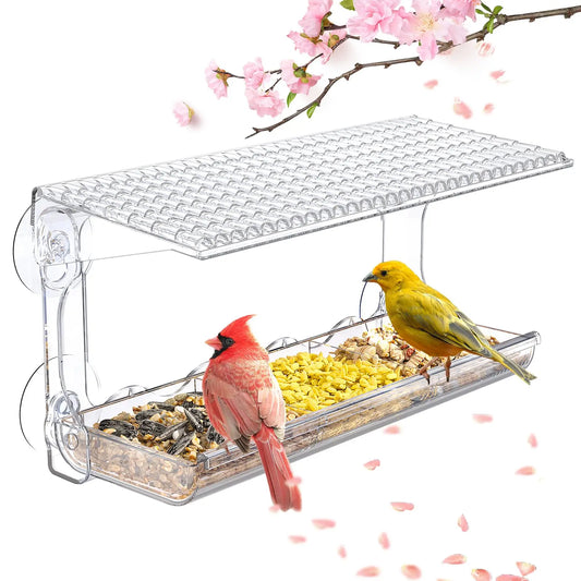 Bird feeder 