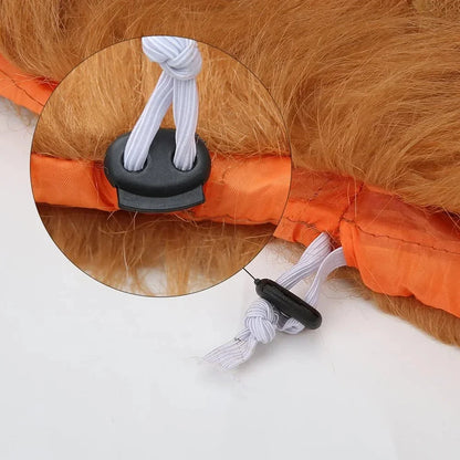 Cute cosplay outfits for pet dogs 