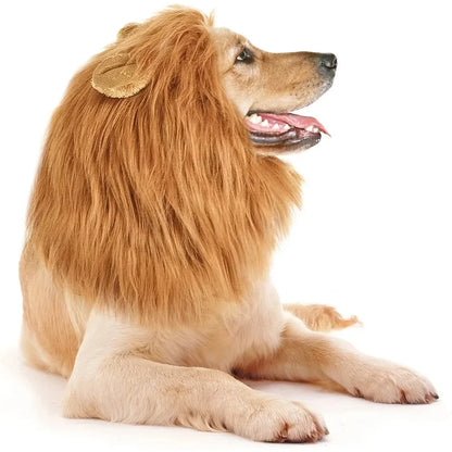 Cute cosplay outfits for pet dogs 