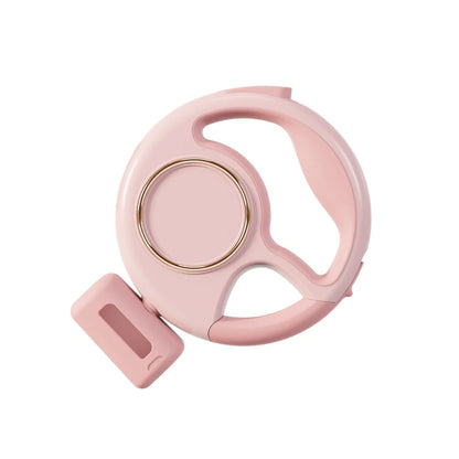 Retractable Leash 