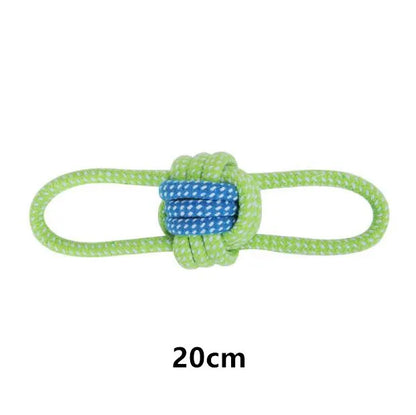 Interactive toys for companion dogs 