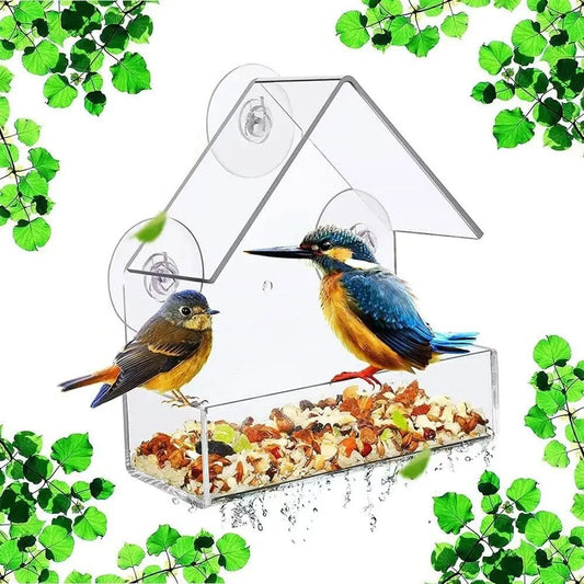 Acrylic bird feeder 