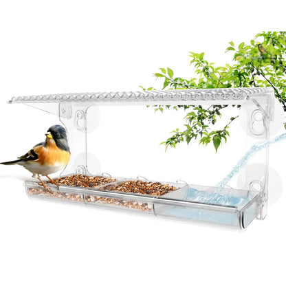 Bird feeder 