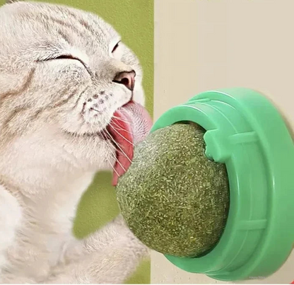 Cat scratching post 