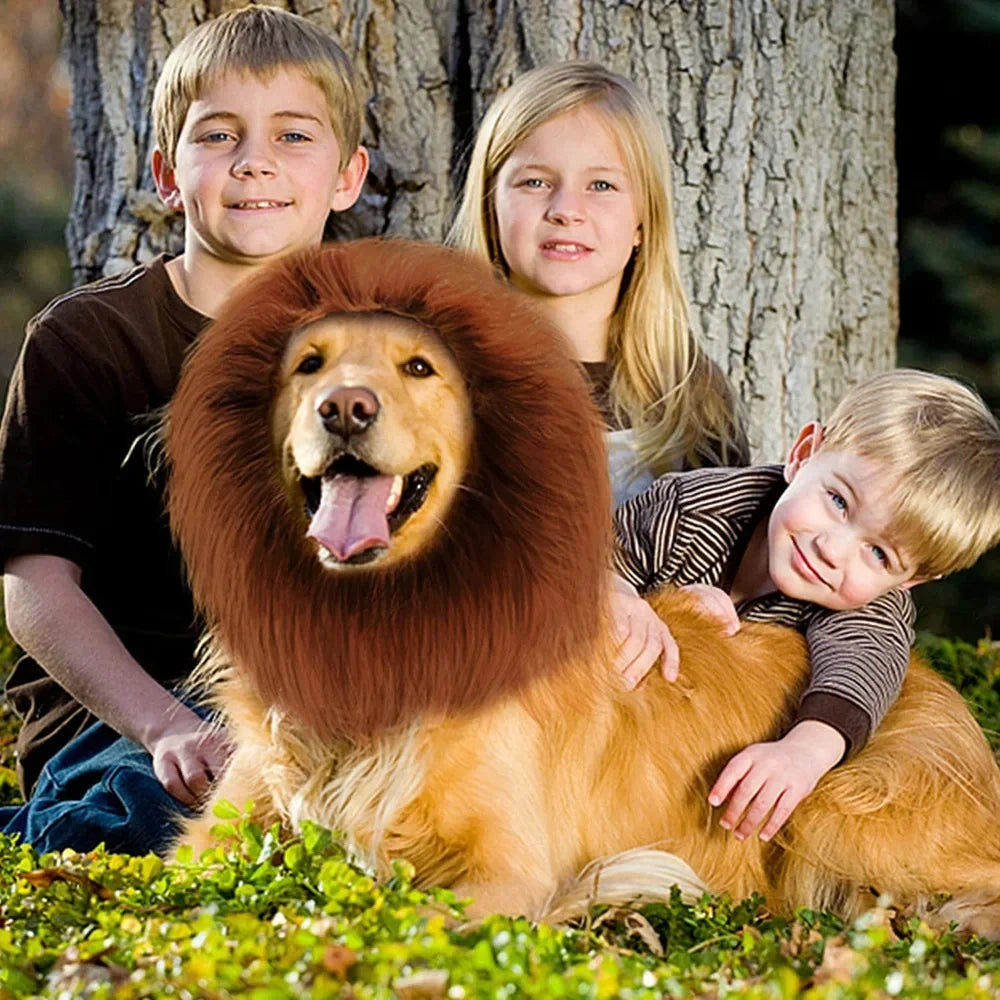 Cute cosplay outfits for pet dogs 