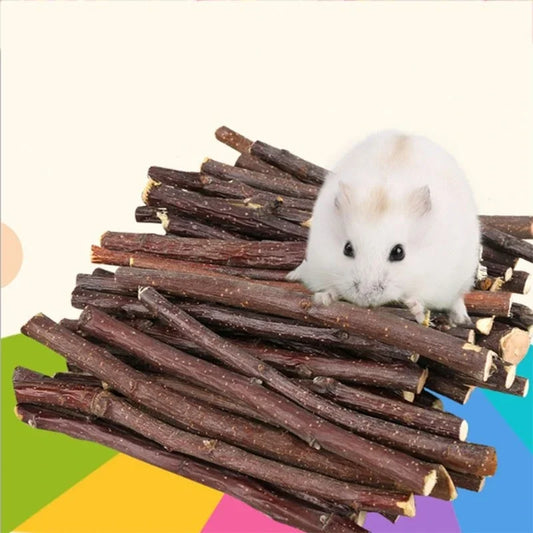 Professional toys for animals 