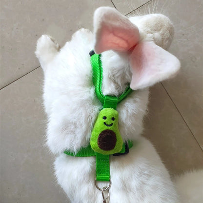 Leash set 