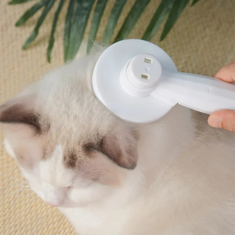 Cat and dog cleaning brush 