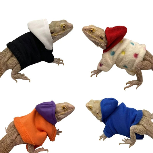 Lizard clothing 