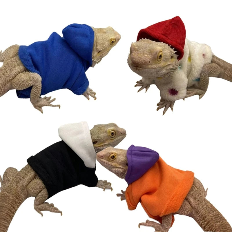 Lizard clothing 