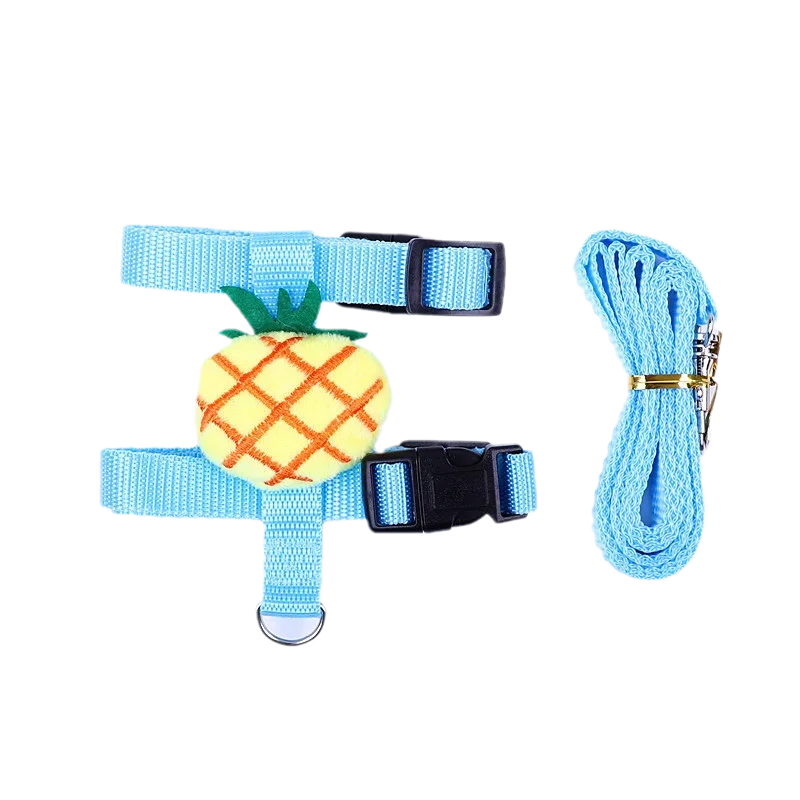 Leash set 