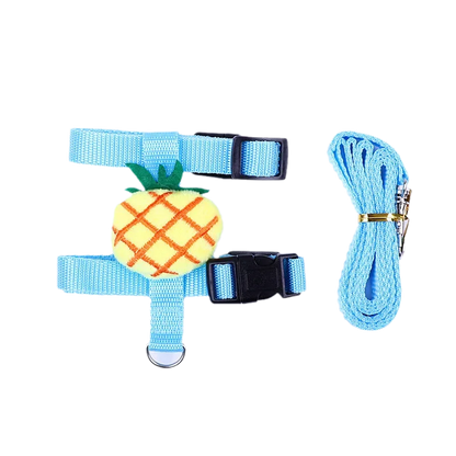 Leash set 