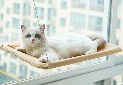 Comfortable hammock for a pet 