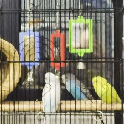 Mirrors for birds with bells 