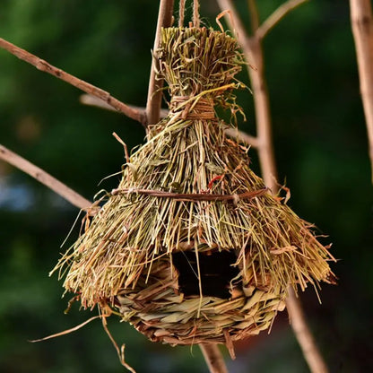 Natural Bird's Nest 