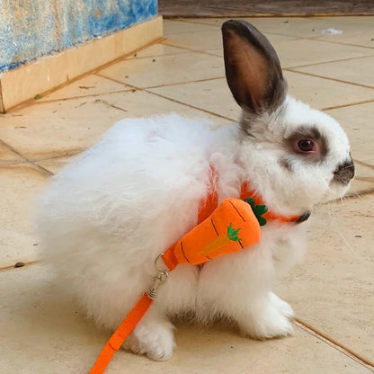 Leash set 