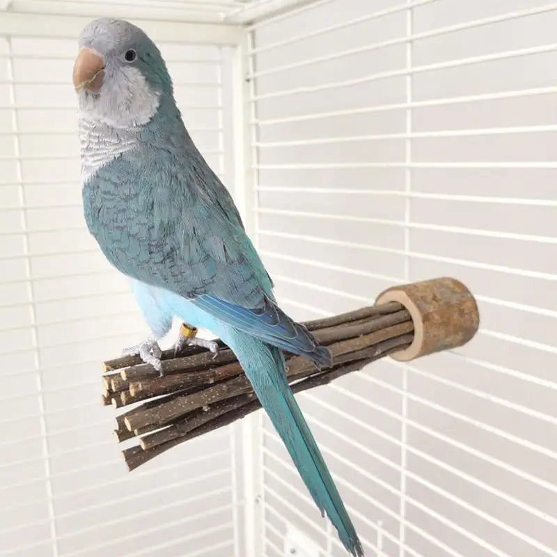 Natural wood parrot stand 