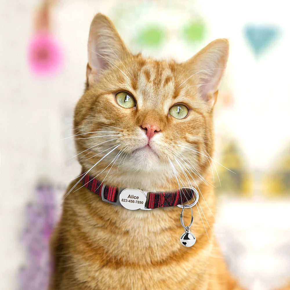 Personalized printed cat collar 