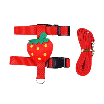 Leash set 