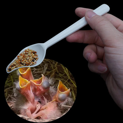 Plastic feeding spoons for baby birds 
