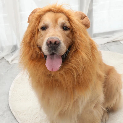 Cute cosplay outfits for pet dogs 