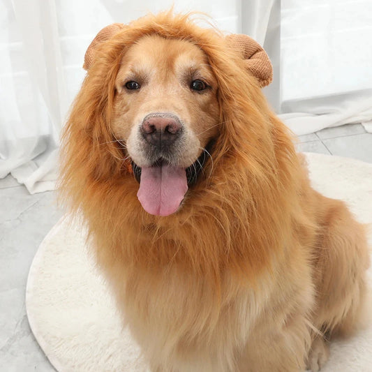Cute cosplay outfits for pet dogs 