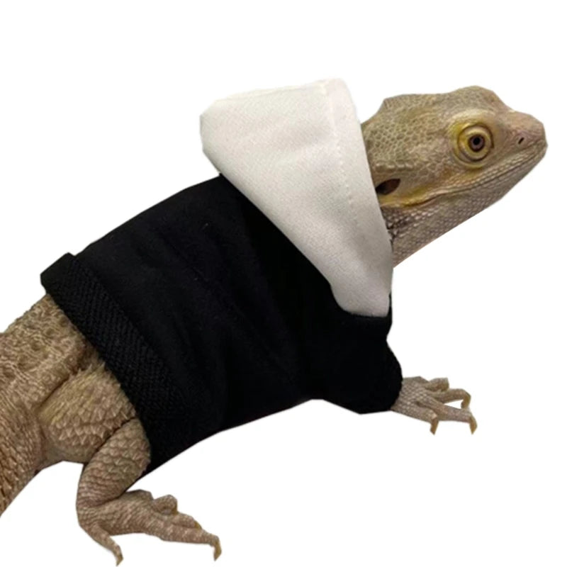 Lizard clothing 