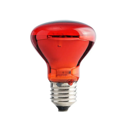 Red heat lamp for pets 