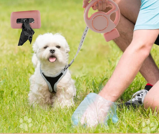 Retractable Leash 