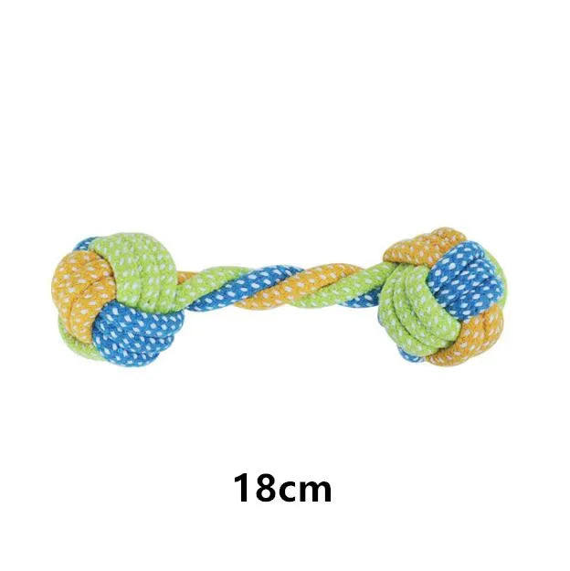 Interactive toys for companion dogs 