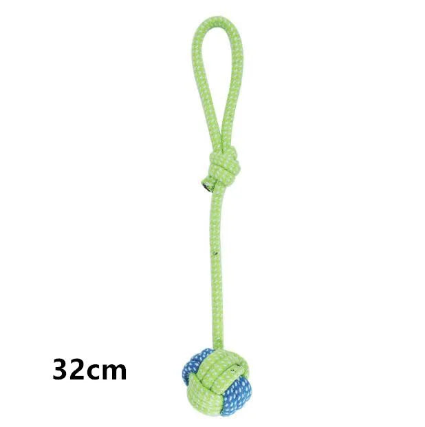 Interactive toys for companion dogs 