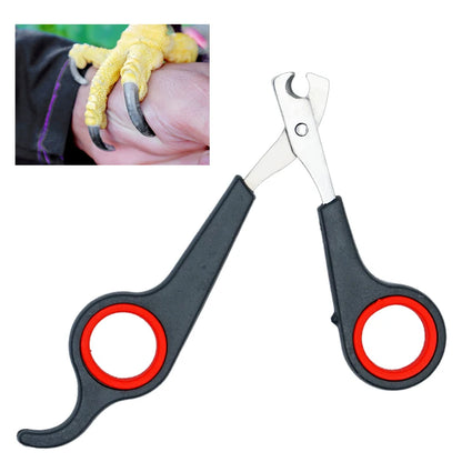 Nail scissors for birds 