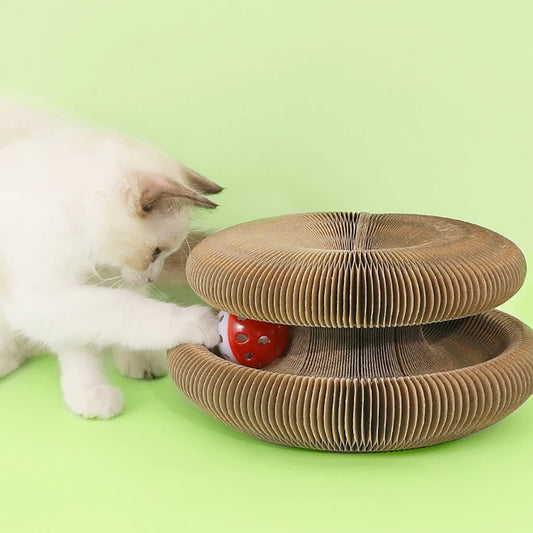 Transformation Ball for cat 