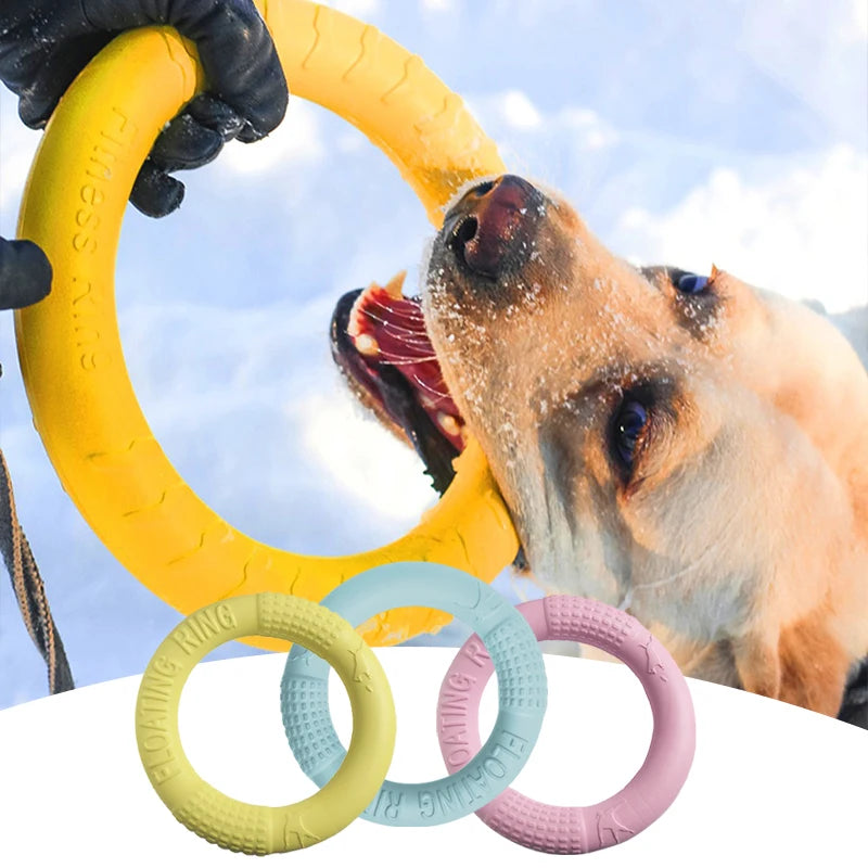 Dog training ring 