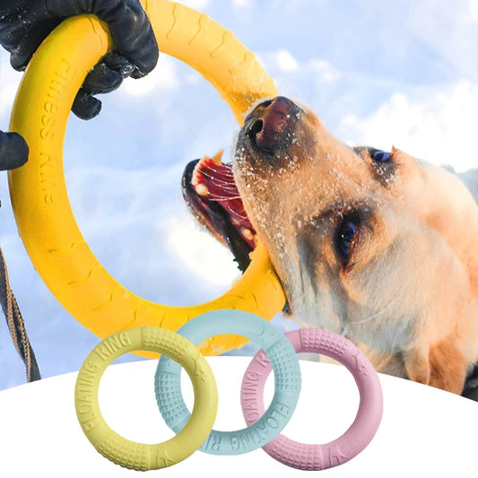 Dog training ring 