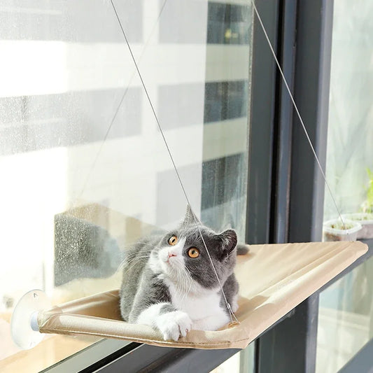 Comfortable hammock for a pet 