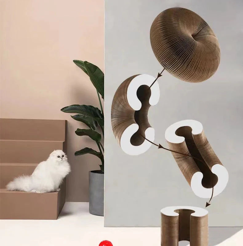 Transformation Ball for cat 