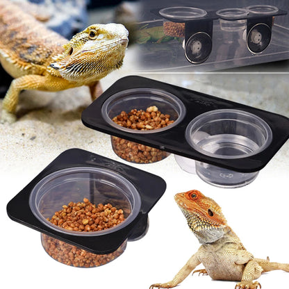 Reptile feeder with suction cup 