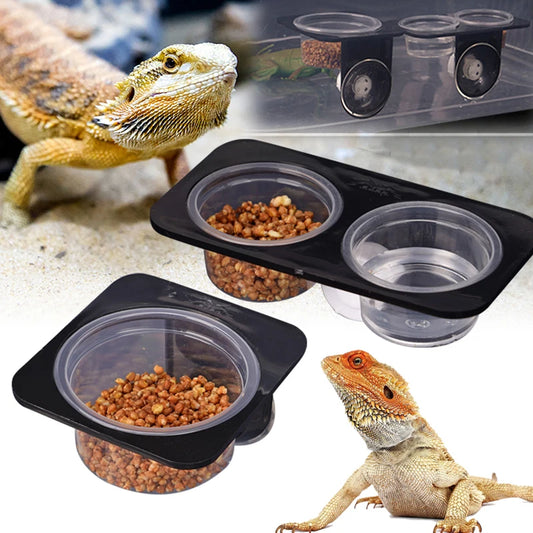Reptile feeder with suction cup 