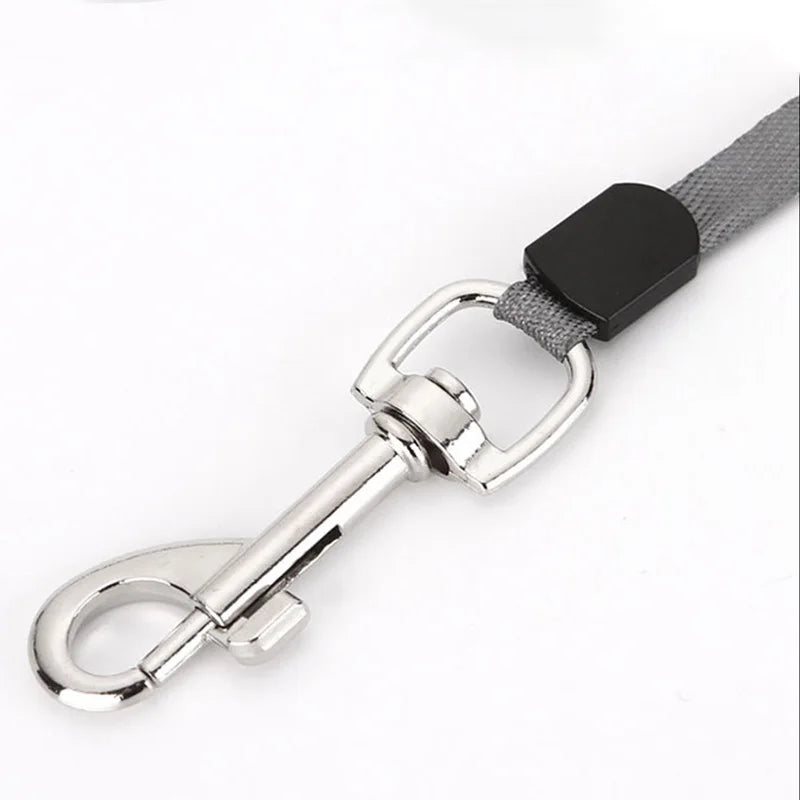 Nylon dog leash 