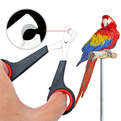 Nail scissors for birds 