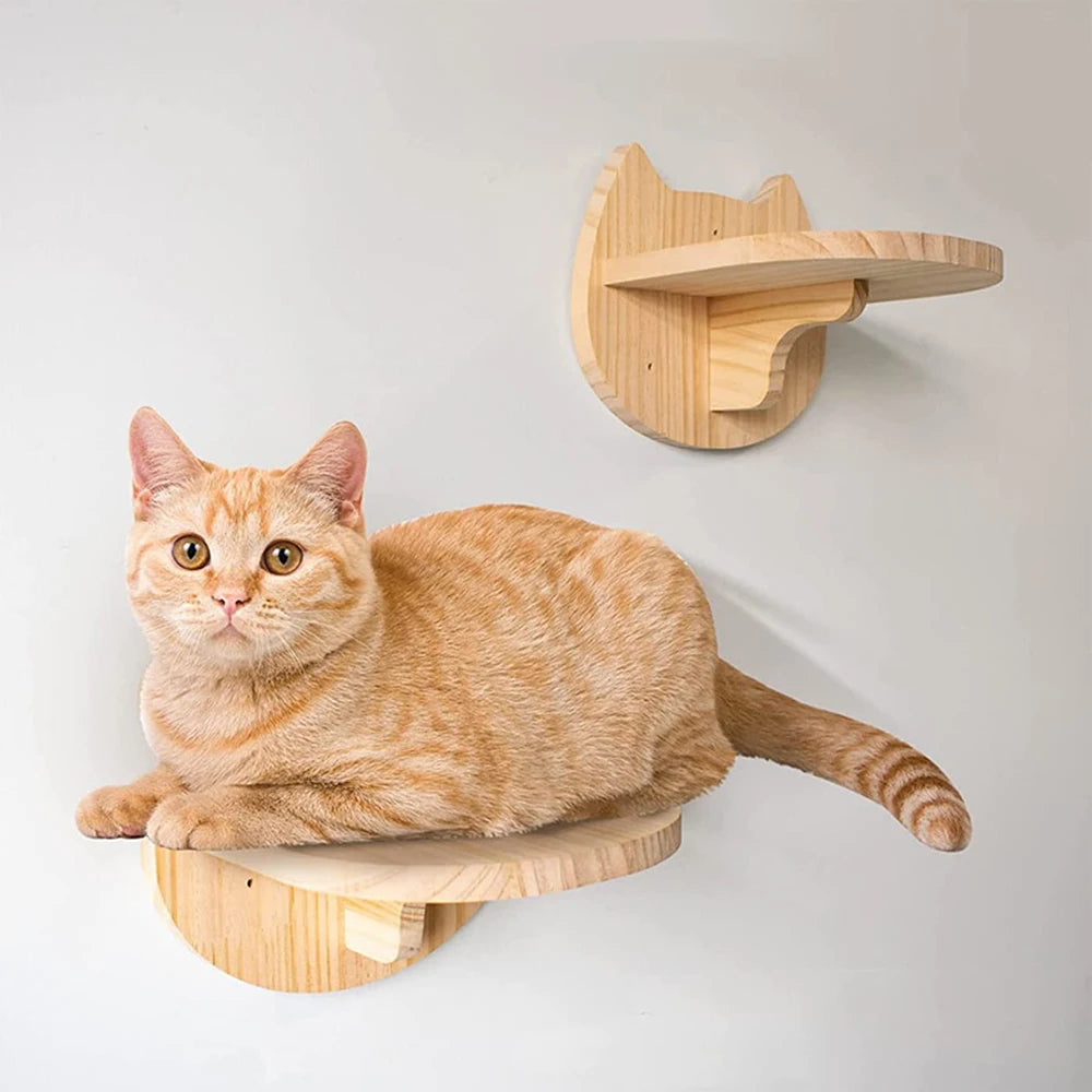 Wall-mounted climbing shelf for cat 