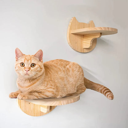 Wall-mounted climbing shelf for cat 