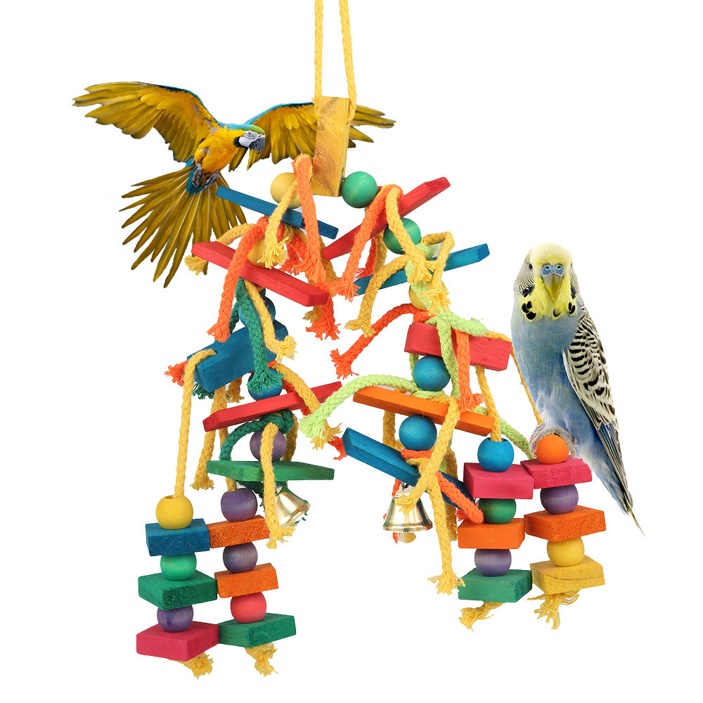 Parrot toys 