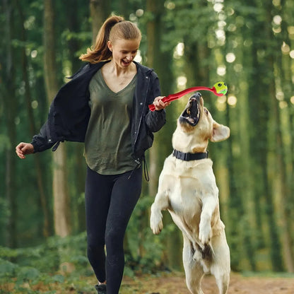 Hand Throw Ball for Pets 