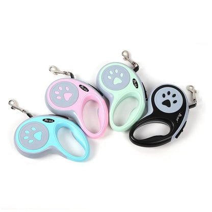 Nylon dog leash 