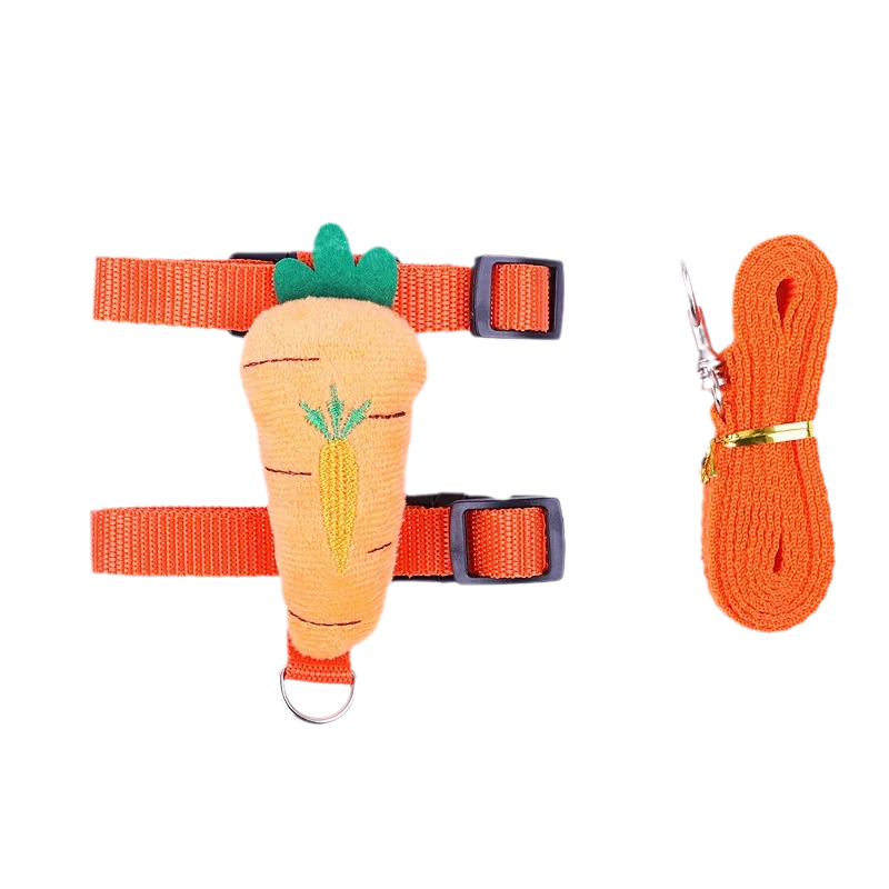 Leash set 