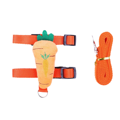 Leash set 