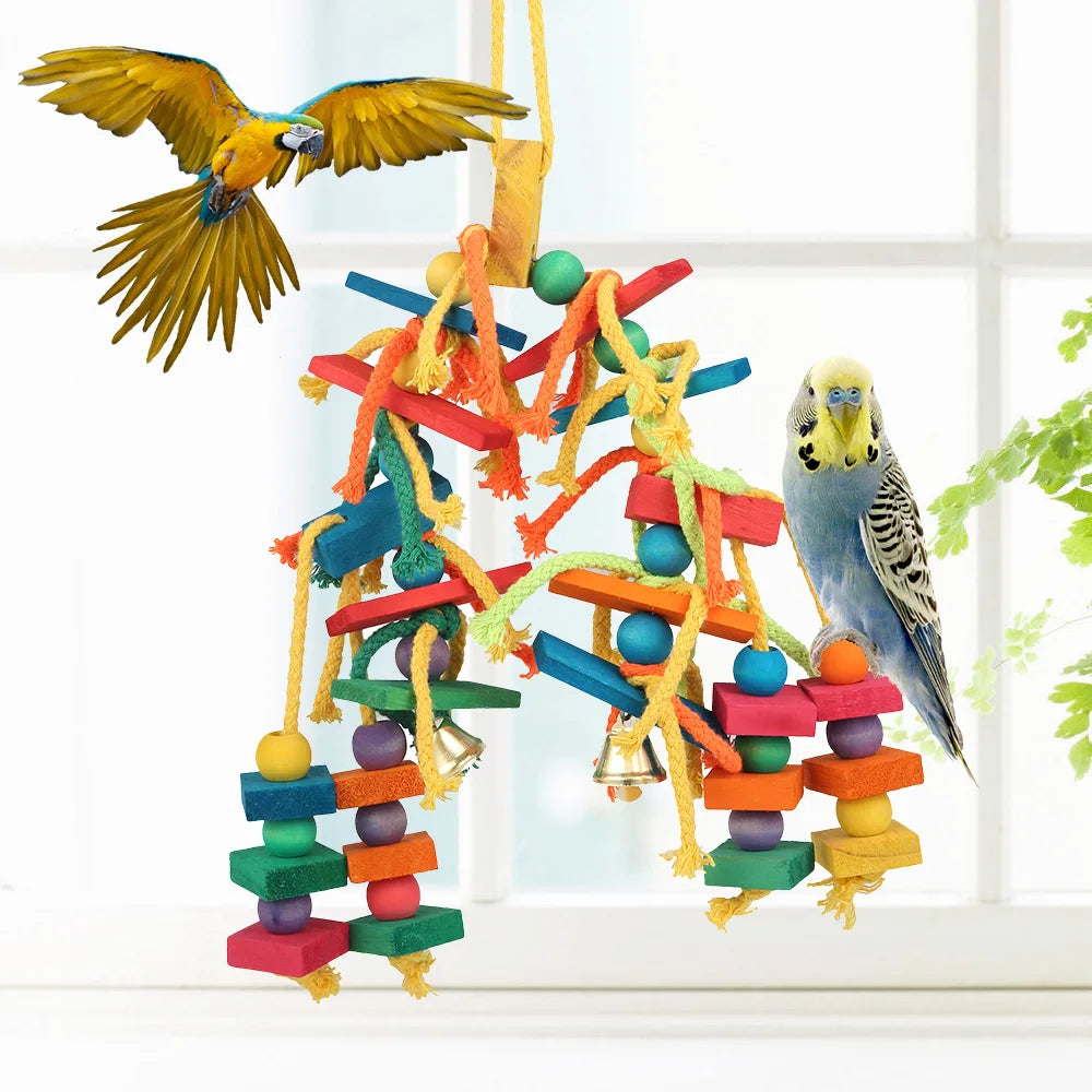 Parrot toys 